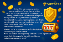 What is the background of the company? - Victor96 Australia